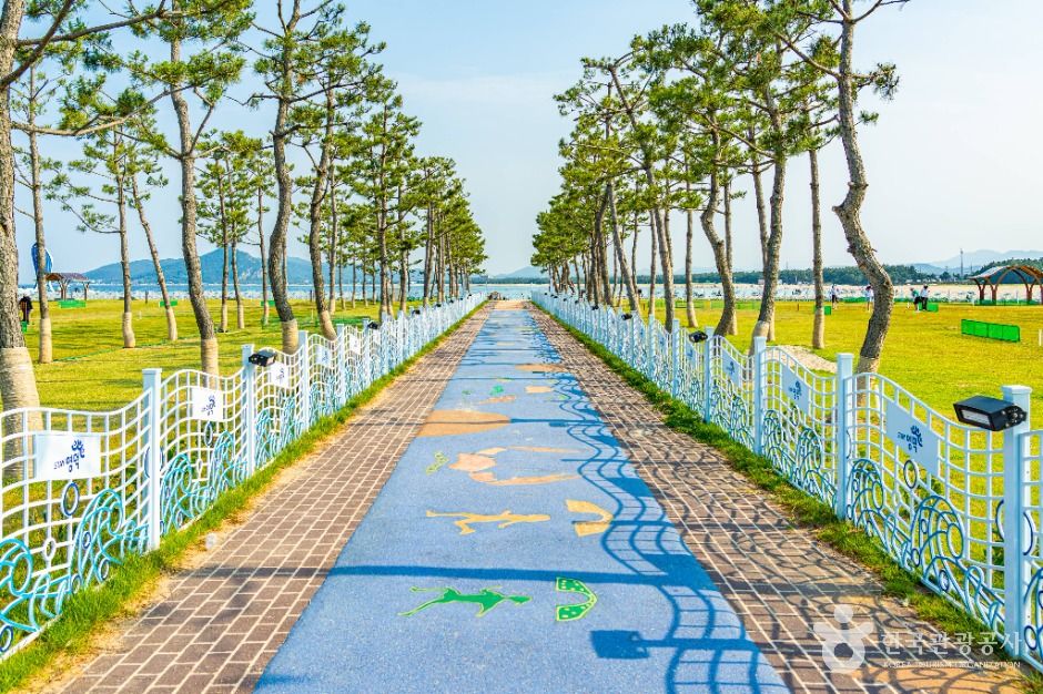 고래불해수욕장