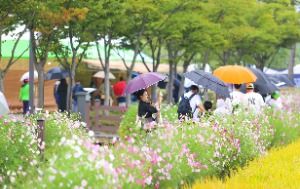 2025 김제지평선축제 9