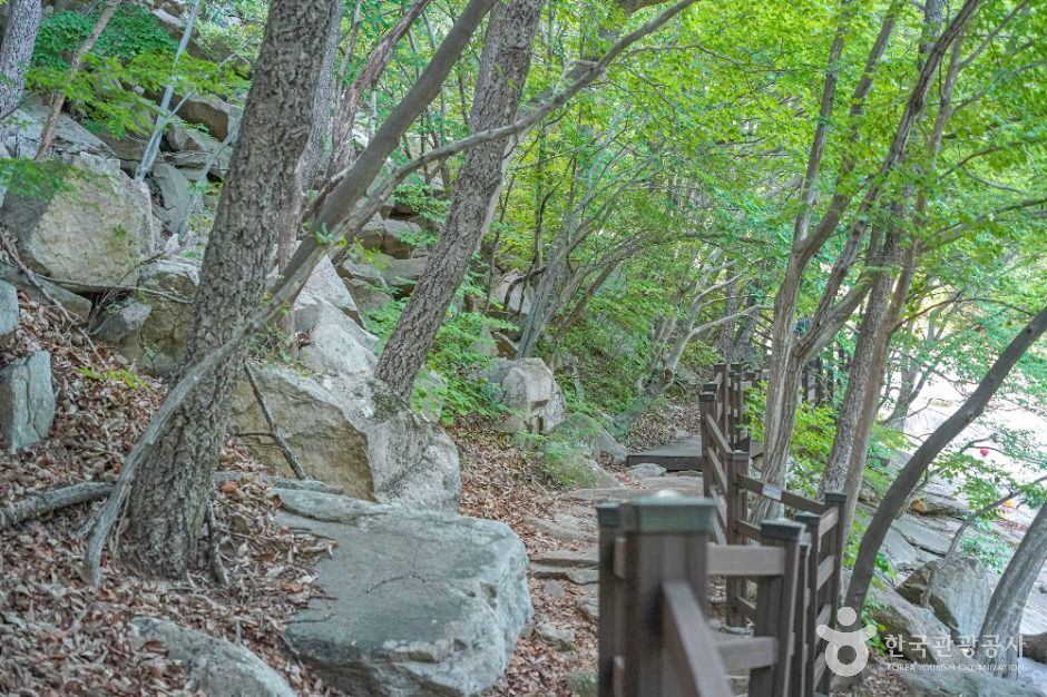 밀양_호박소계곡 (6)