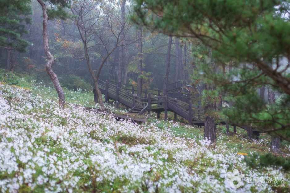 율곡수목원
