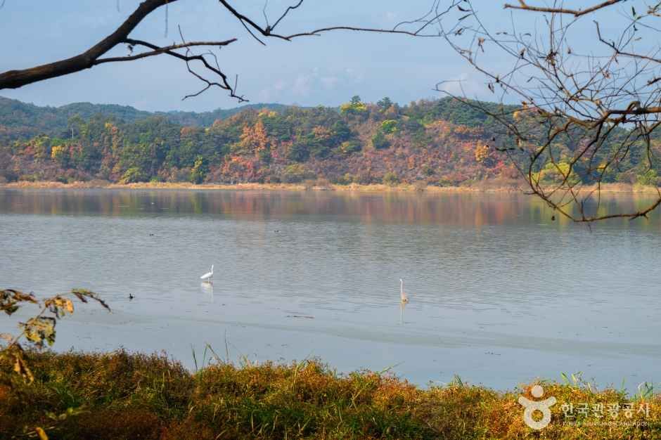 창녕 우포늪
