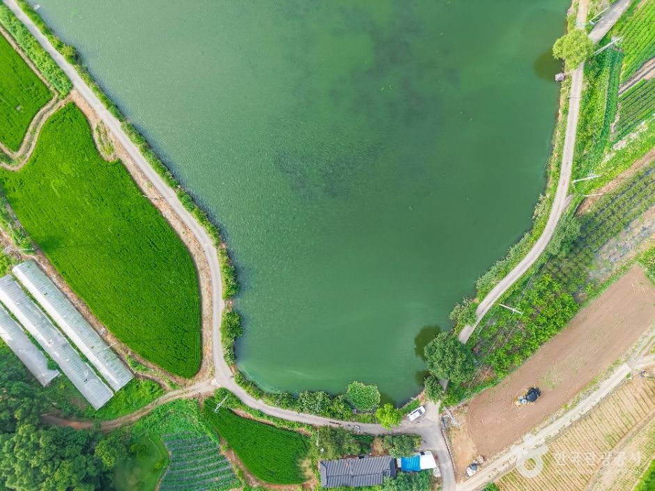 thumbnail-분지섬저수지-7