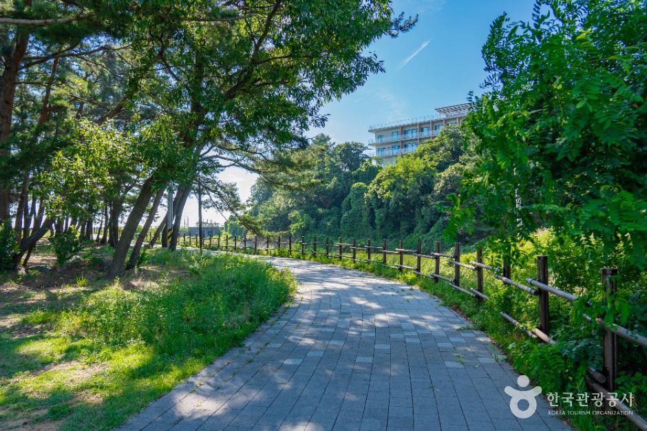 thumbnail-궁평관광지-6