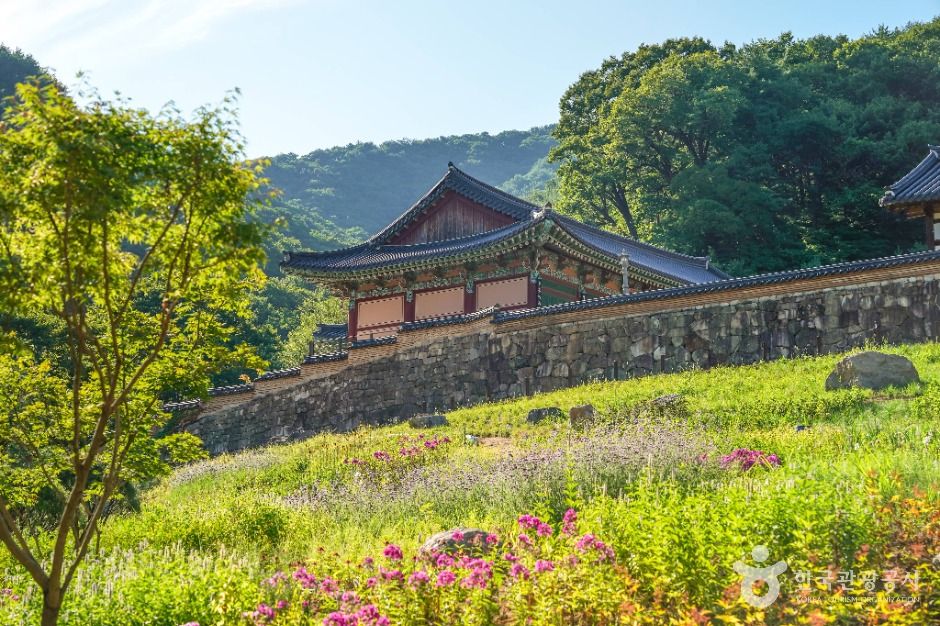 thumbnail-용문사(예천)-8