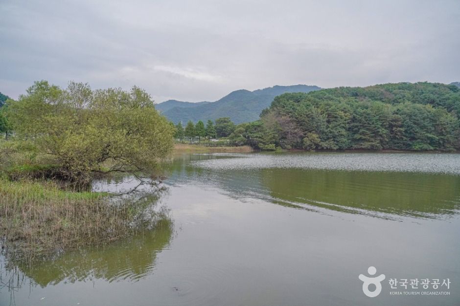 회동수원지 둘레길