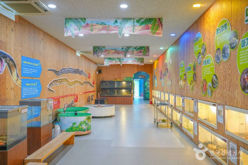 영암곤충박물관