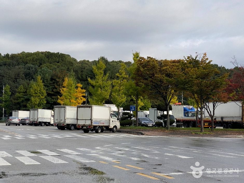 원주_원주 농산물도매시장 (7)