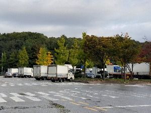 원주_원주 농산물도매시장 (7)