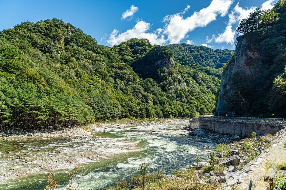 인제_고원통계곡 (8)