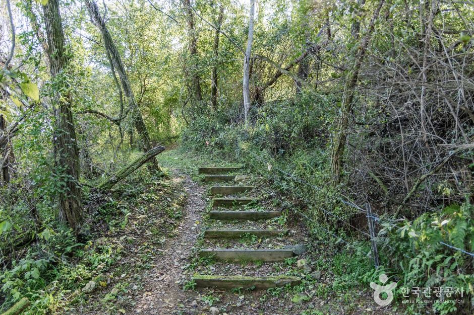 소이산 생태숲 녹색길