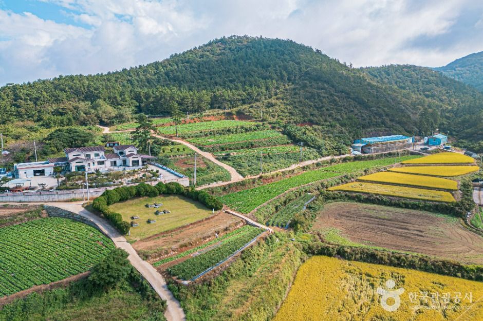 해남_땅끝송호마을 (3)