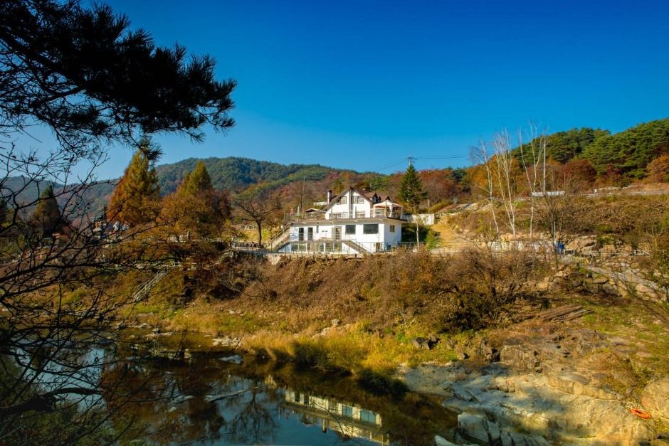 제천통나무펜션