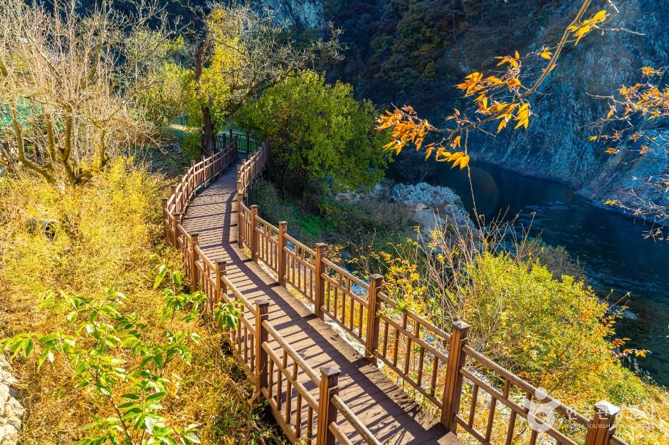 영동_월류봉 둘레길 (3)