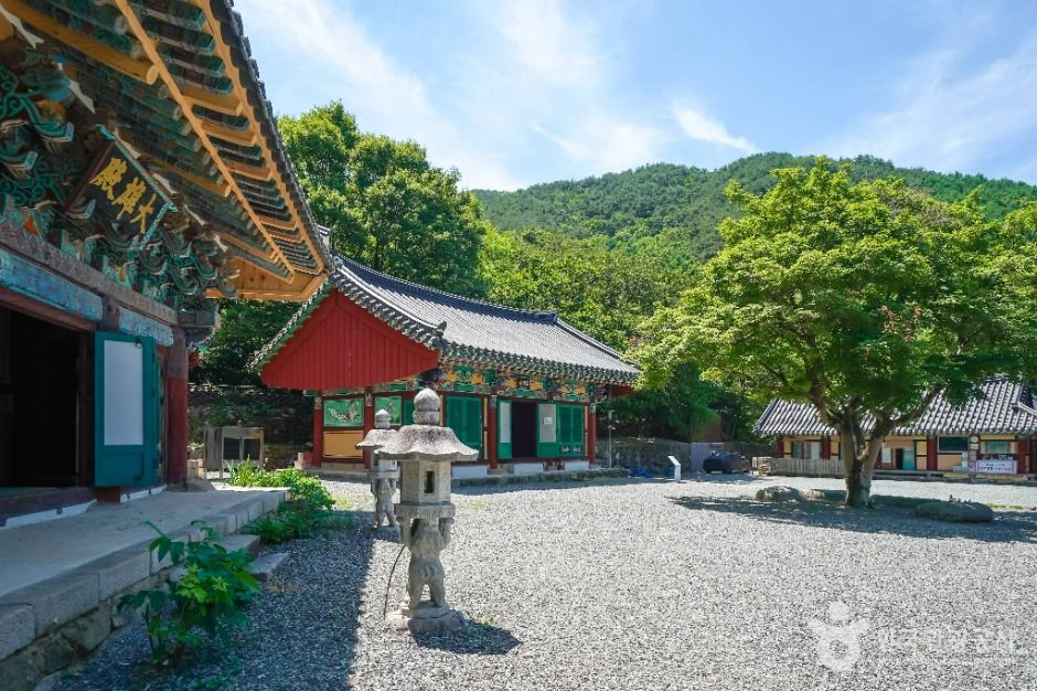 thumbnail-소재사(대구)-4