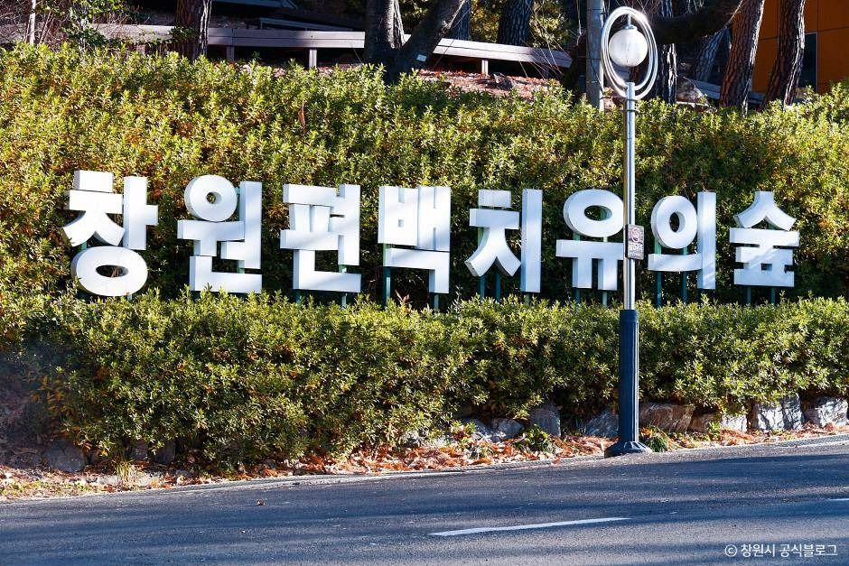 창원 편백 치유의 숲