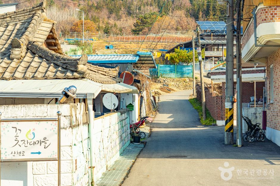 원연장 꽃잔디마을