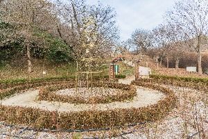 도음산 산림문화수련장 전경 2