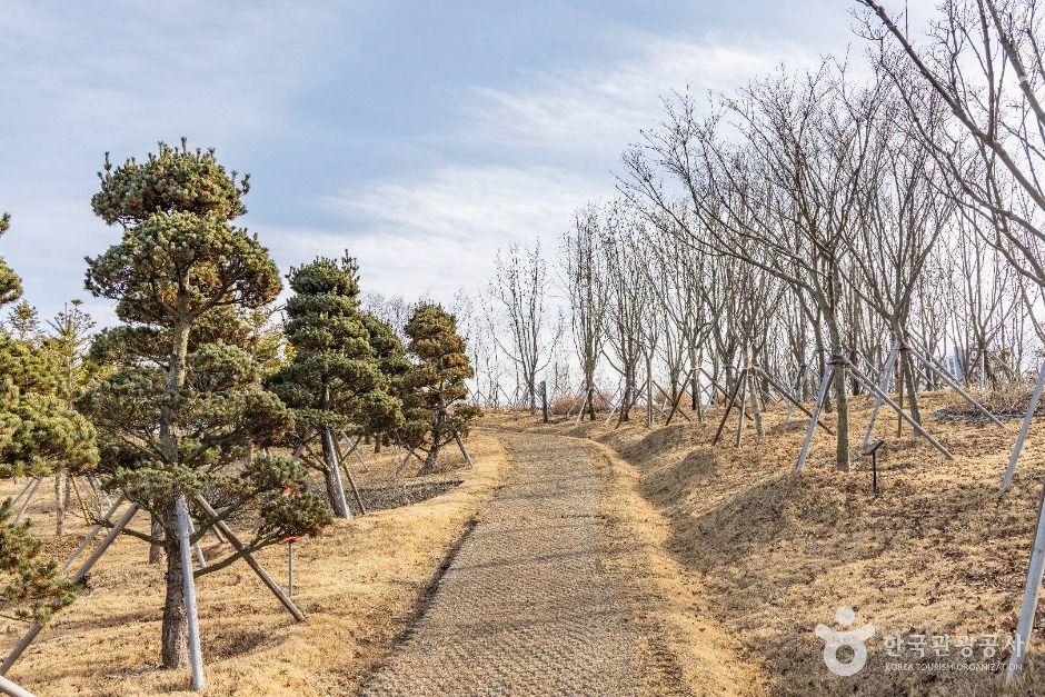 thumbnail-충주 시민의 숲-13