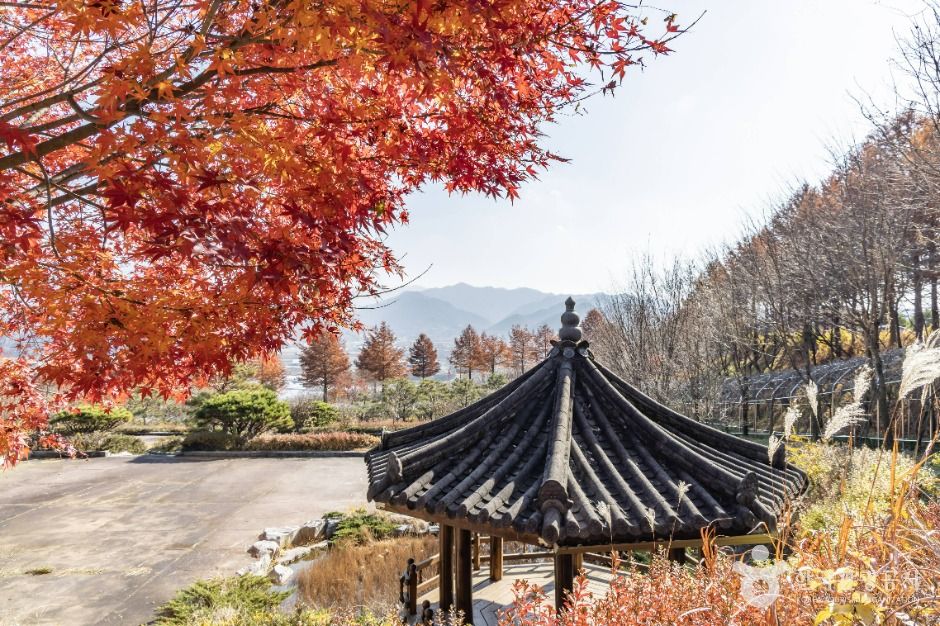 진안_고원화목원 (12)