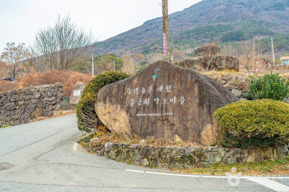 화순 수만리들국화마을