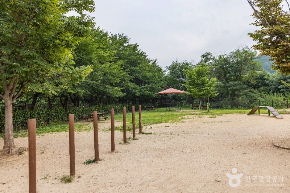 인천_인천대공원 반려동물 놀이터 (3)