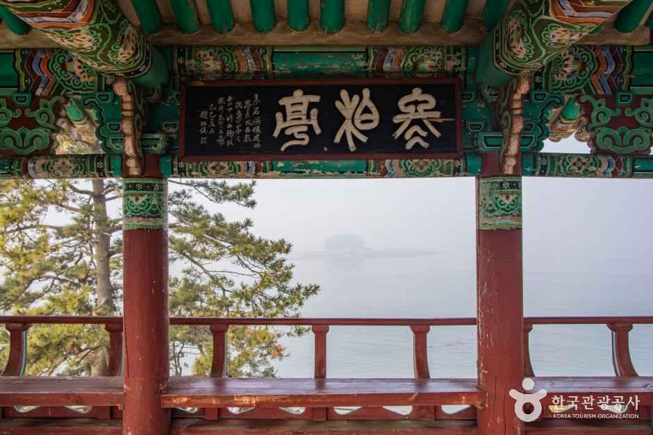 thumbnail-서천 마량리 동백나무 숲-1