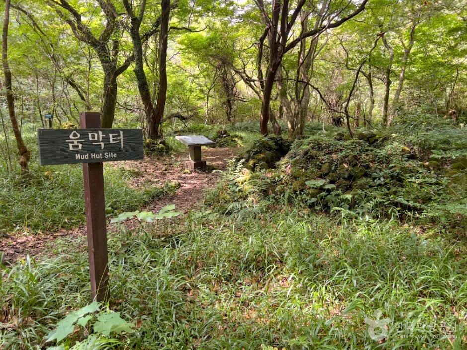 thumbnail-제주 교래자연휴양림-11