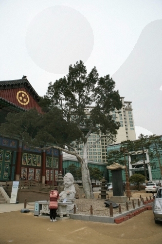 Jogyesa Temple (조계사)