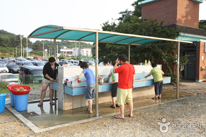 영흥도 십리포해변9