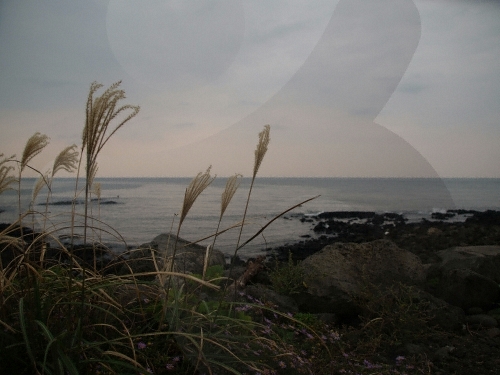 [제주올레 9코스] 대평-화순 올레5