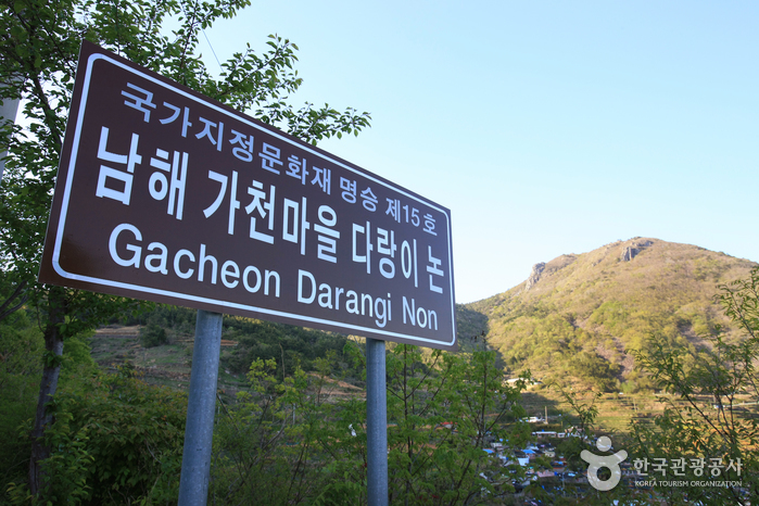 가천 다랭이마을 사진22