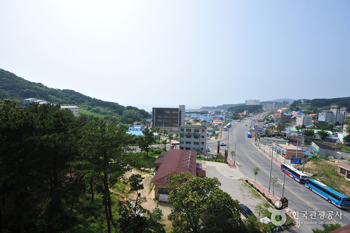 Hotel Cherbourg (쉘브르호텔)3