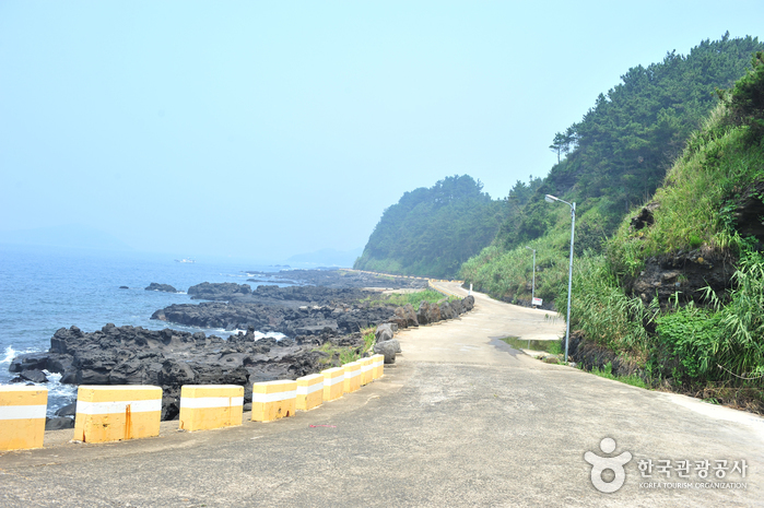 [제주올레 12코스] 무릉-용수 올레1