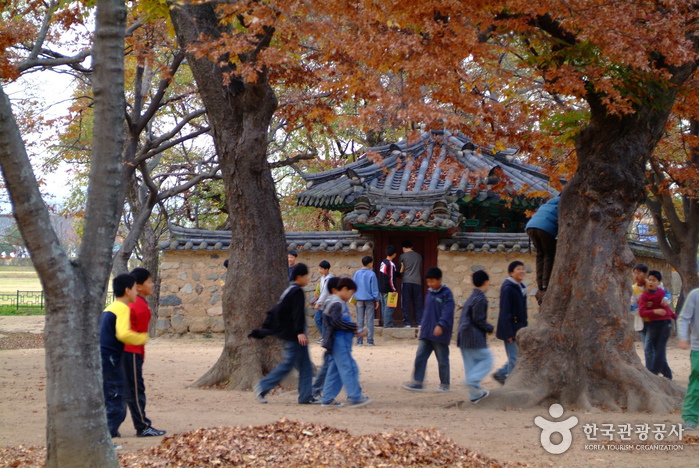 Gyerim Forest (계림)