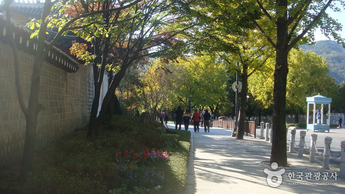 青瓦臺前道路(청와대 앞길)