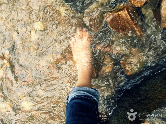 Wanderweg aus rotem Lehm am Berg Gyejoksan (계족산 황톳길)4