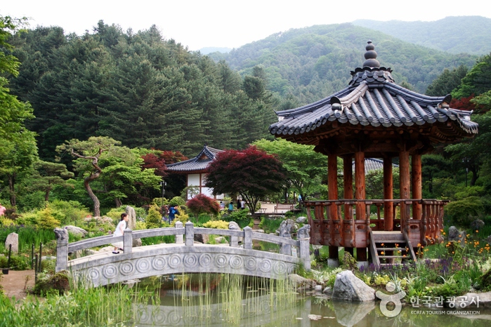 가을 풍경과 잘 어울리는 아침고요수목원 내 한국정원