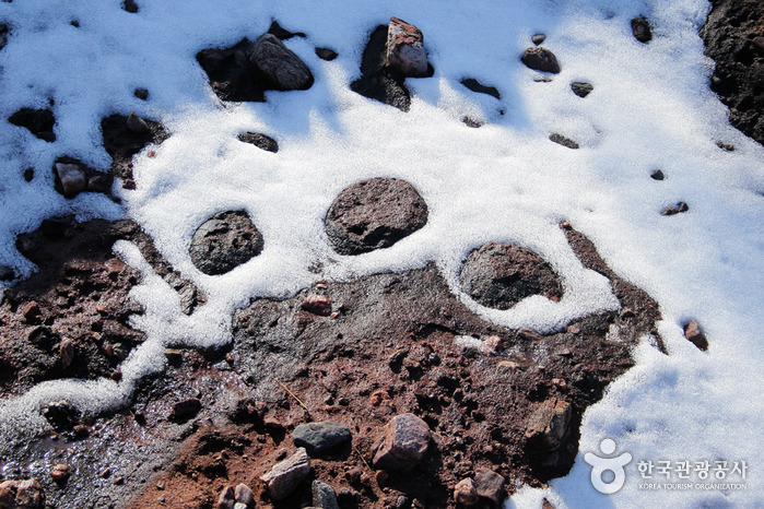 닭섬 부근 들판에서 200개 넘게 발견된 공룡알 화석