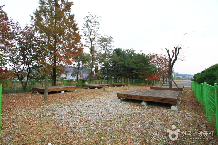 Yuseong Youth Hostel