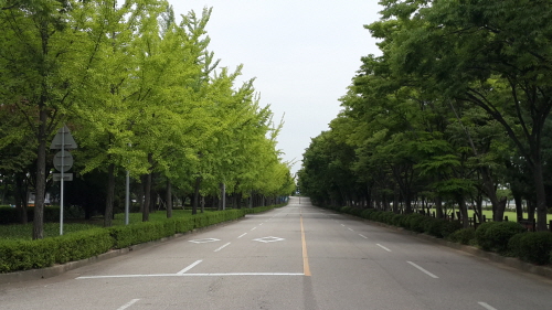 미사리경정공원6