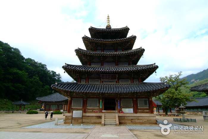 보은 법주사 사진11