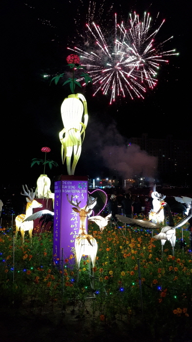 음성 인삼축제 20193