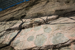 의성 제오리 공룡발자국화석 산지