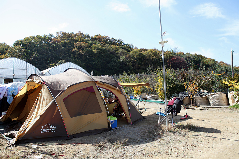 하마캠핑장 텐트1
