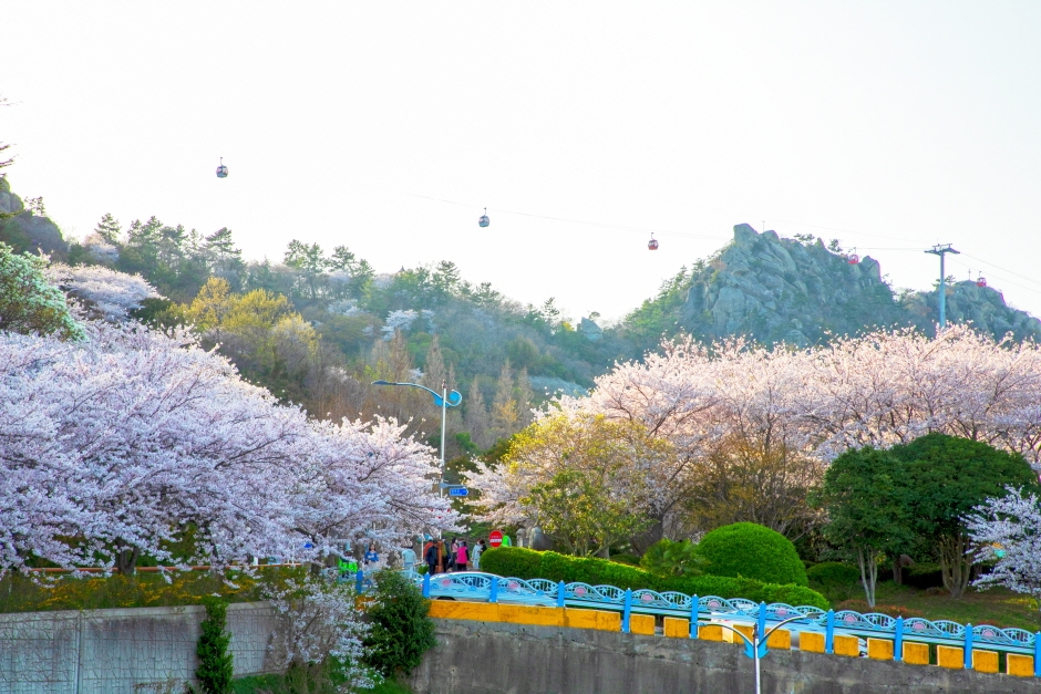 Festival de la Primavera del Monte Yudalsan (유달산 봄축제)
