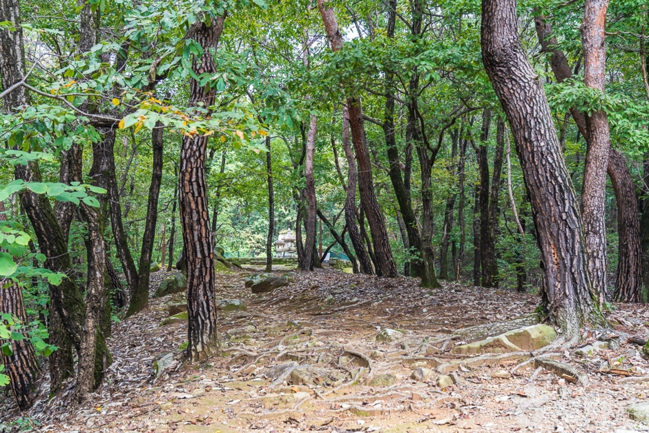 청룡사(충주)