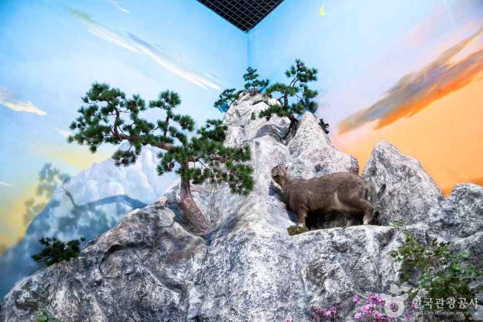 thumbnail-강원특별자치도립화목원-28