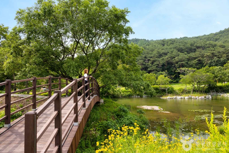 고창 운곡람사르습지