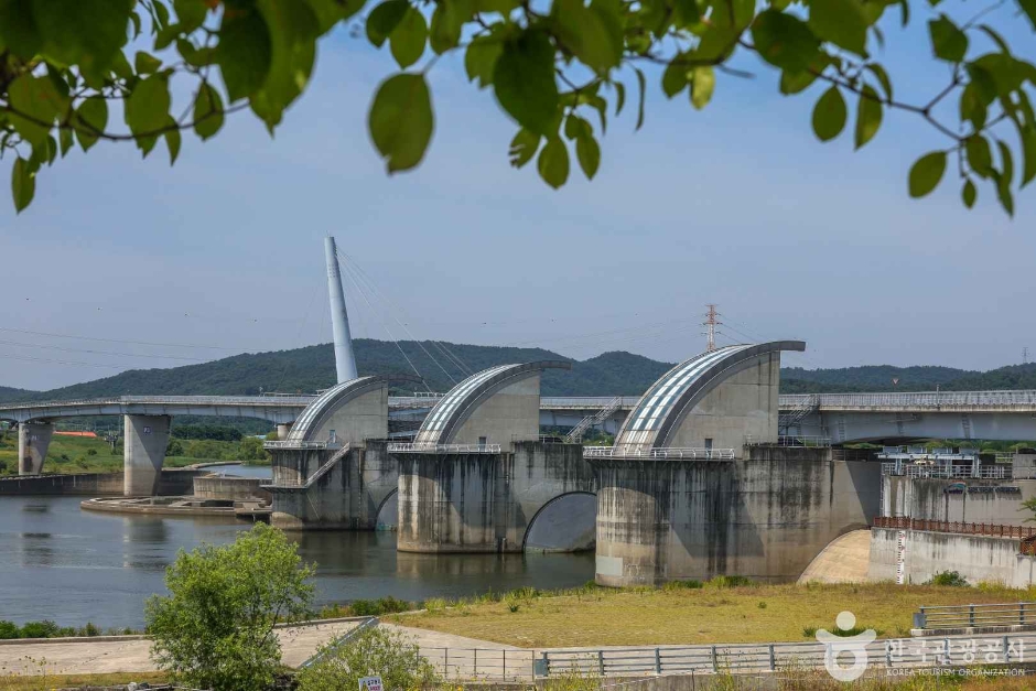 강정고령보