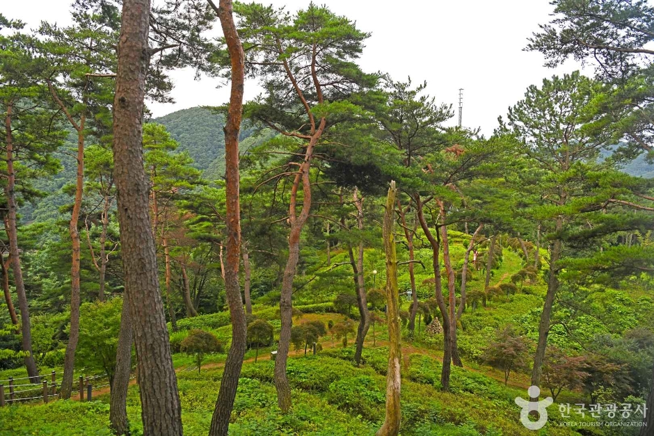 조산공원